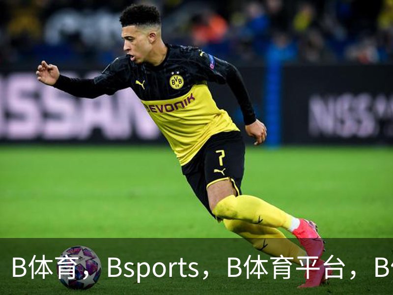 B体育，Bsports，B体育平台，B体育下载简介